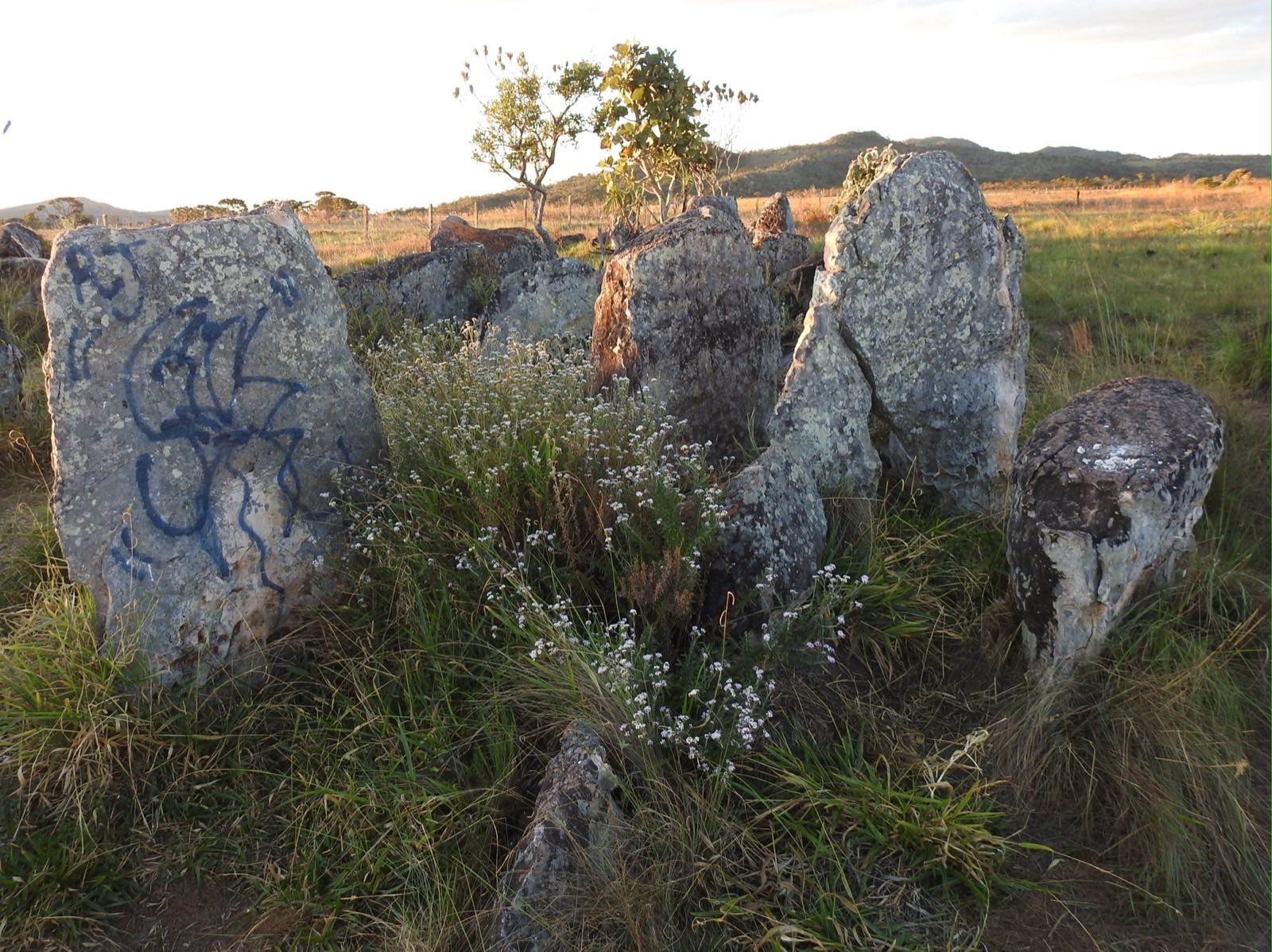 Paralelo 14 — Culture