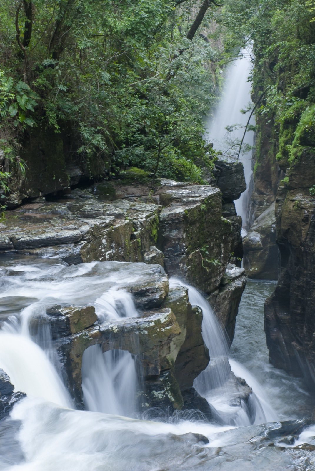 Santuário Ecológico Raizama — Canyon
