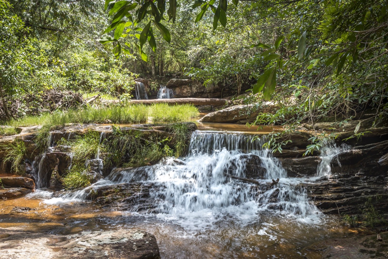 Santuário Ecológico Raizama — Canyon